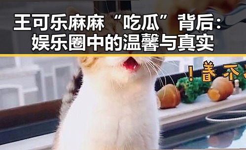 王可乐麻麻“吃瓜”背后：娱乐圈中的温馨与真实